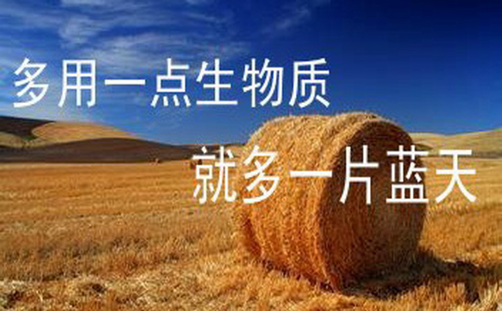 合理利用生物质能是实现“碳中和”的重要举措